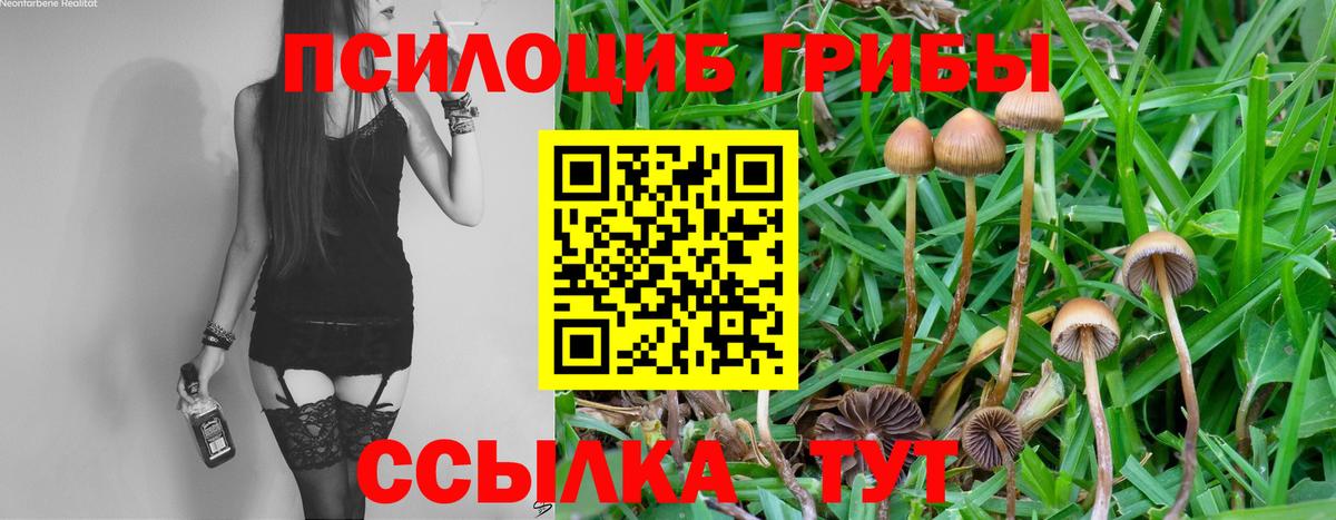 купить наркоту  Галлюциногенные грибы ЛСД  Вход с VPN  Псилоцибиновые грибы ЛСД  Владимир 