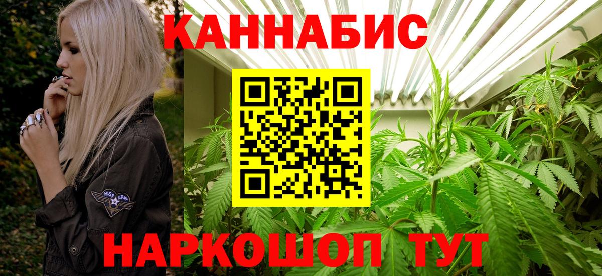 Конопля MAZAR  Бошки марихуана Bruce Banner  Владимир  Канабис тримм  МАРИХУАНА тримм  Вход с VPN 
